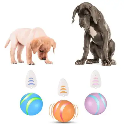 Smart Ball Dog Toy