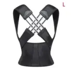 Flexible Back Support Belt for Office, Home, and Gym