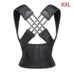 Flexible Back Support Belt for Office, Home, and Gym