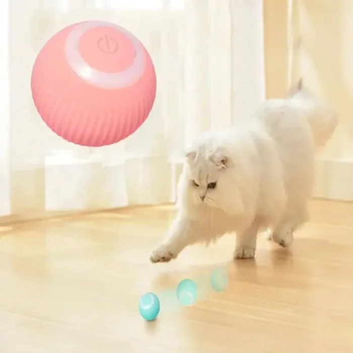 Durable cat toy