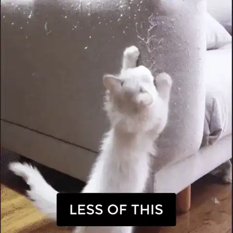 Applying protective film