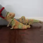 🐊 3D Knitted Crocodile Socks - Image 4